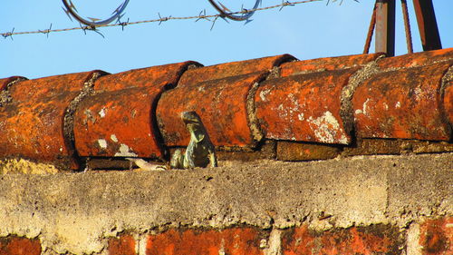 Rusty metal structure