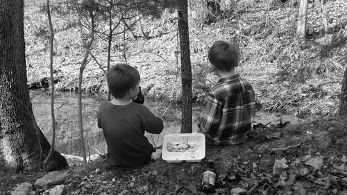 Rear view of boys sitting in forest