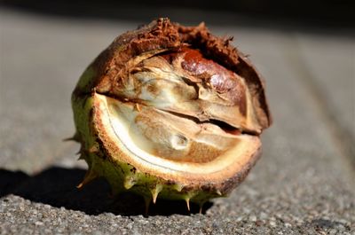 Close-up of banana