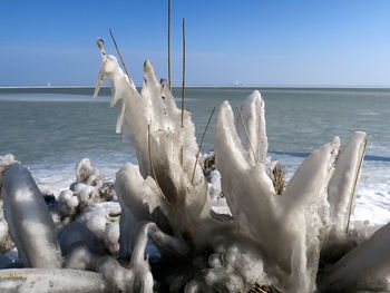 Close-up of snow on beach against clear sky