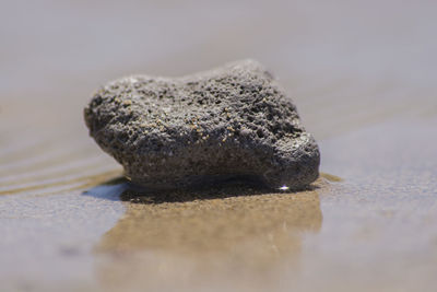 Close-up of rock on sand at beach