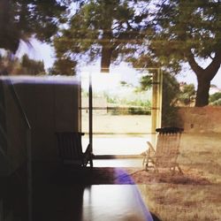 Empty road with trees in background