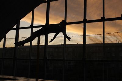 Silhouette of an animal against sunset sky seen through window