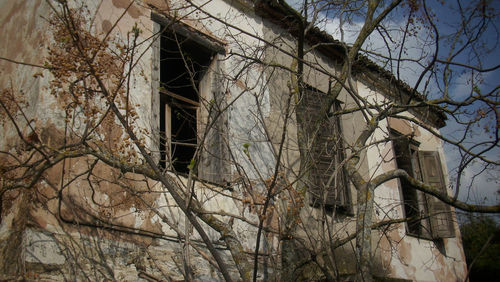 Low angle view of bare tree