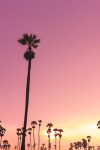 Low angle view of silhouette palm trees against romantic sky