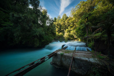 Water flowing by trees against sky