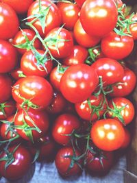 Close-up of tomatoes