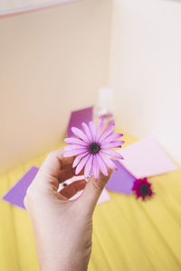 Cropped hand holding purple flower