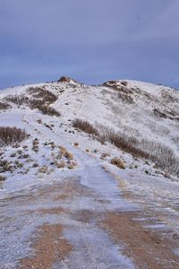 winter