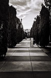 Footpath amidst trees in city against sky