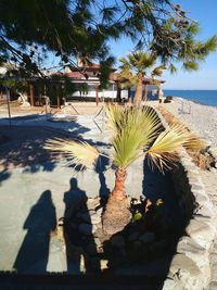 Shadow of people on beach