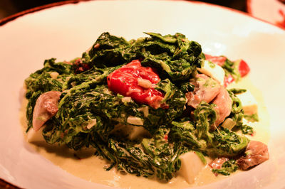 Close-up of salad in plate