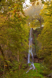 Waterfall in forest