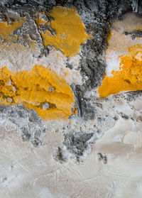 Close-up of yellow rock