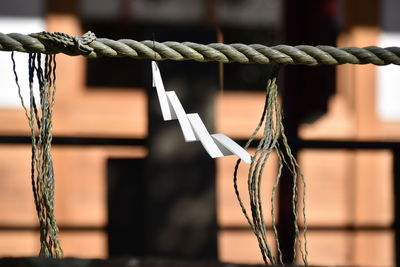 Close-up of rope hanging 