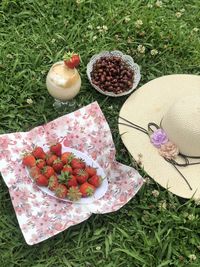 High angle view of fruits on field