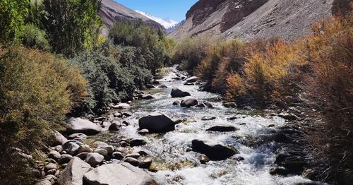 Stream flowing through rocks in forest