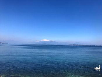 Scenic view of sea against clear blue sky