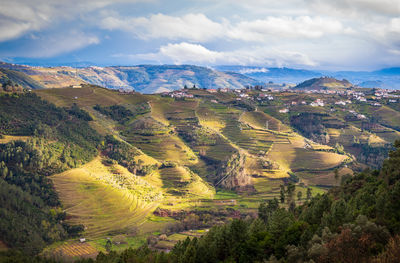 The douro valley with the vineyards of the terraced fields. photographed in spring, portugal