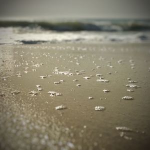 Surface level of beach