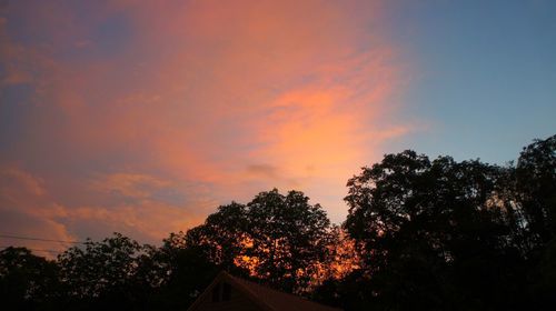 Low angle view of silhouette trees against orange sky