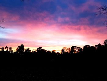 Silhouette trees against sky at sunset