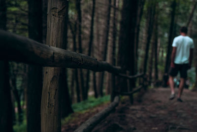 Rear view of man walking on tree trunk in forest