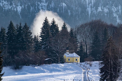 Snow covered street amidst trees and buildings during winter