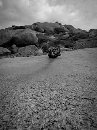 Surface level of rocks on land against sky