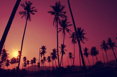 Silhouette of palm trees at sunset