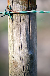 Detail of a barbed wire on a fence in the countryside