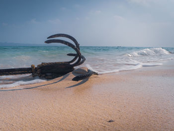 Driftwood on beach by sea against sky