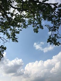 Low angle view of trees against cloudy sky