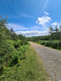 Empty road along plants and trees against sky