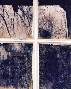 Full frame shot of tree trunk