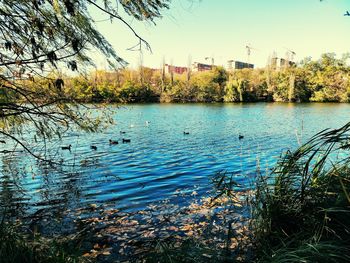 Scenic view of lake against clear sky