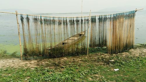 Scenic view of grass in water against sky