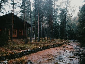 Built structure in forest