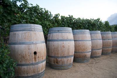 Stack of wine bottles in row against trees