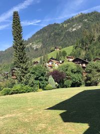 Trees on field by mountain against sky