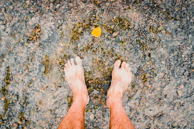 Low section of man standing in river