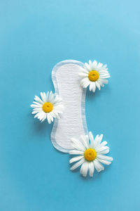 Menstruation period concept. hygienic white female pad with chamomile flowers on blue background