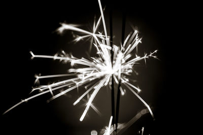 Close-up of firework display against sky at night