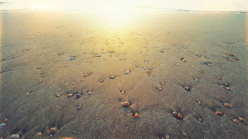 View of beach