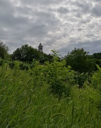 Trees on field against cloudy sky