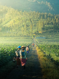 People on agricultural field