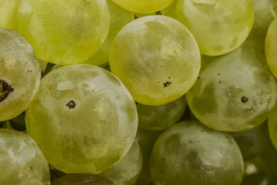 Full frame shot of fruits in market