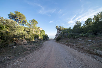 Dirt road amidst trees against sky