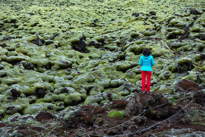 Eldhraun lava field, flow and ridge covered with green moss in iceland