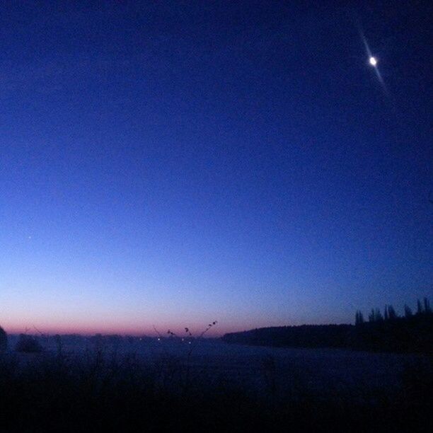 clear sky, tranquil scene, landscape, tranquility, copy space, scenics, blue, silhouette, beauty in nature, dusk, nature, moon, field, horizon over land, sunset, sky, idyllic, night, non-urban scene, outdoors